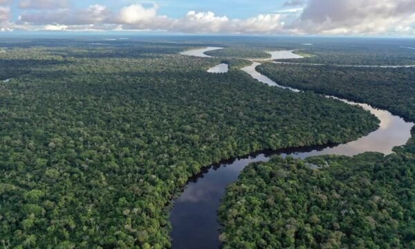 PF destrói balsas de garimpo na fronteira do Amazonas com a Colômbia