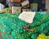Preço do limão está acima da média, mesmo na entressafra