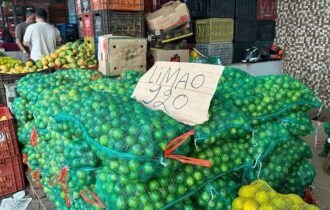 Seca dos rios deixa o preço do limão mais azedo em Manaus