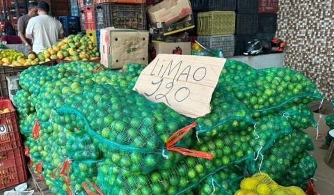 Seca dos rios deixa o preço do limão mais azedo em Manaus