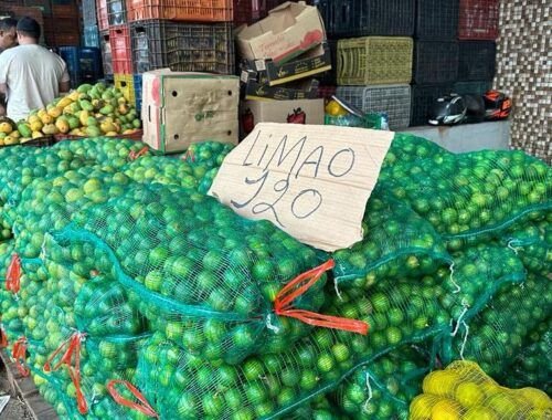Preço do limão está acima da média, mesmo na entressafra