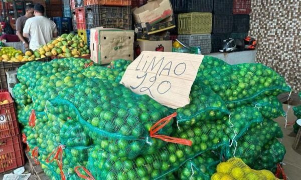 Seca dos rios deixa o preço do limão mais azedo em Manaus