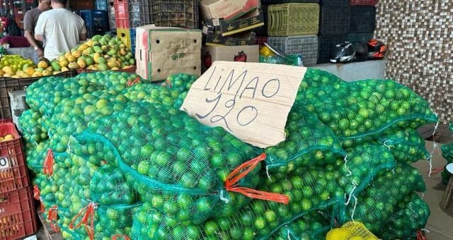 Preço do limão está acima da média, mesmo na entressafra