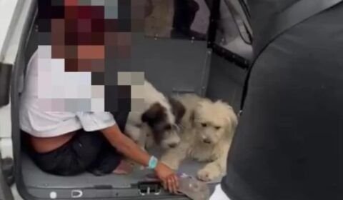 Urgente: polícia prende suspeita de furtar loja acompanhada de cachorros