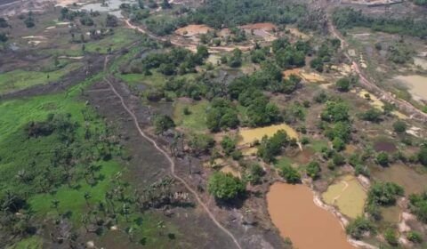 Amazonas fecha 2023 com quase 20 mil queimadas; o segundo pior ano desde 1998