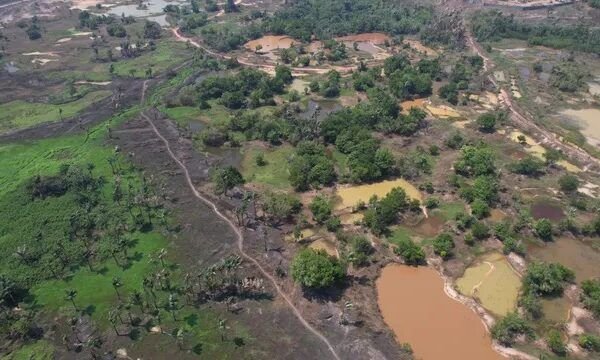 Amazonas fecha 2023 com quase 20 mil queimadas; o segundo pior ano desde 1998