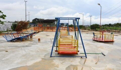CAPs e animais cênicos do parque Amazonino Mendes seguem em obras pela prefeitura