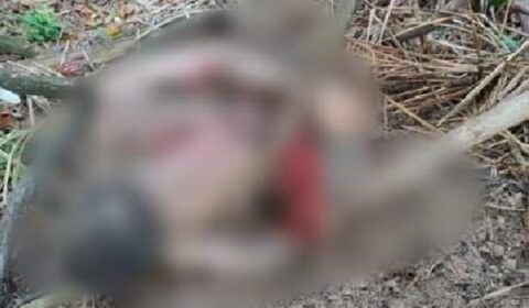 Corpo é encontrado decapitado em Urucurituba