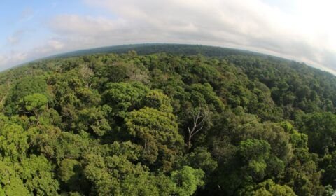Sobrevivente de massacres, povo indígena juma, do Amazonas, agora enfrenta mudanças climáticas