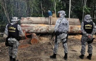 Governo prorroga atuação da Força Nacional na Amazônia Legal