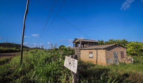 Grileiros na Amazônia usam inteligência territorial para usurpar terras públicas