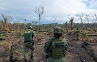 Ibama no Amazonas embarga 462 hectares e aplica R$ 1,3 milhão em multas