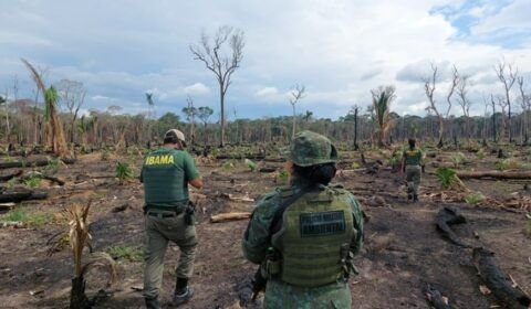 Ibama no Amazonas embarga 462 hectares e aplica R$ 1,3 milhão em multas