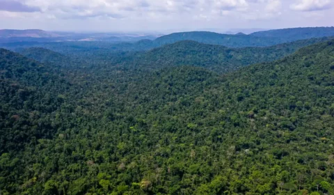 Forças Militares da Colômbia detém mineração ilegal e narcotráfico na Amazônia