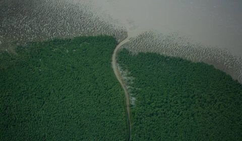 Pagamento de compensação ambiental por bloco da Petrobras na Foz do Amazonas se arrasta há 9 anos
