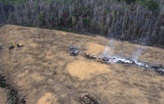 Pesquisadores alertam sobre os efeitos devastadores dos megaincêndios para a Amazônia