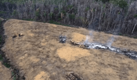 Pesquisadores alertam sobre os efeitos devastadores dos megaincêndios para a Amazônia