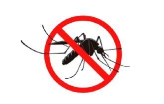 Prefeitura promove Dia “D” de Mobilização contra o Aedes aegypti