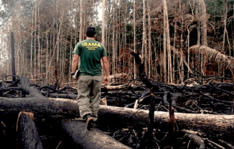 Redução expressiva: desmatamento cai 66% no Amazonas no ano