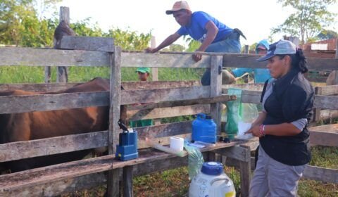 1ecf67e3-9921-422c-9b48-4199e0637f24