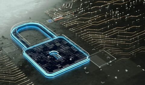 47492_2b8b3d70b5cb5ddd-8