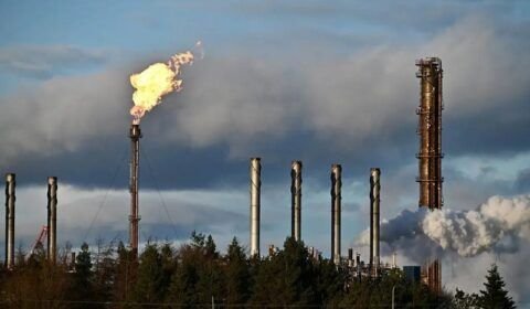 50564_004072ee46d573c5-1-2