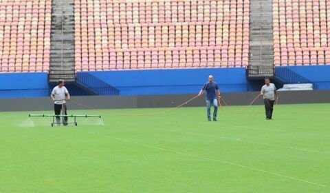 gramado-da-arena-da-amazonia-green-leaf-foto-2-by-emanuel-mendes-siqueira-2