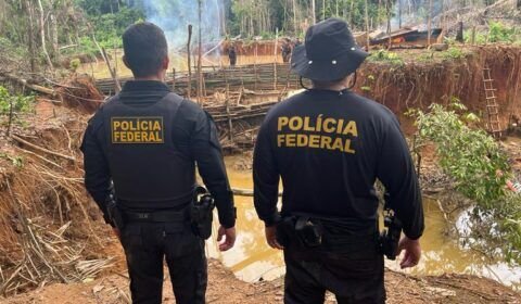 policia-federal-crime-ambiental