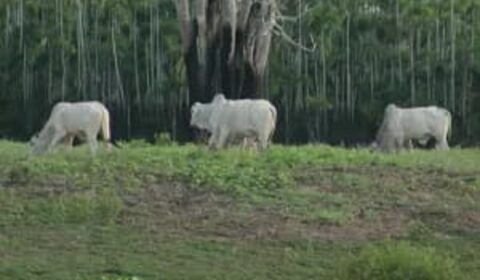 whatsapp-image-2024-01-18-at-9-38-00-am