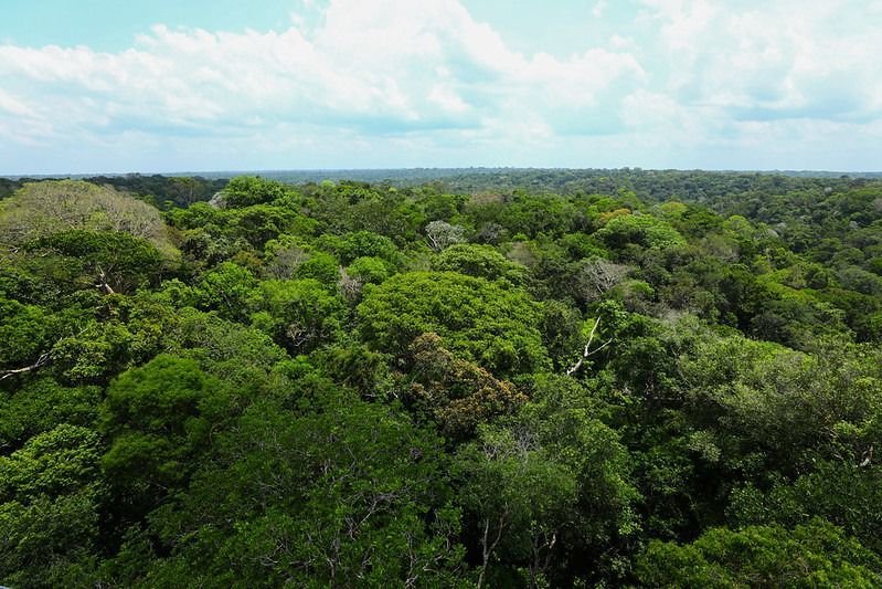 floresta-amazonas