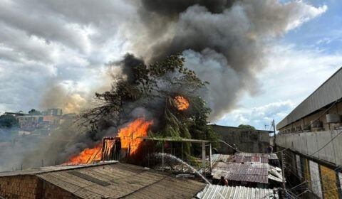 imagem-do-whatsapp-de-2024-01-12-as-135705-e13948ef-768x432