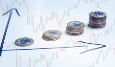 img20220209111427199-1-768x512