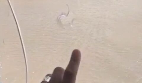 Piratas trocam tiros no marajó