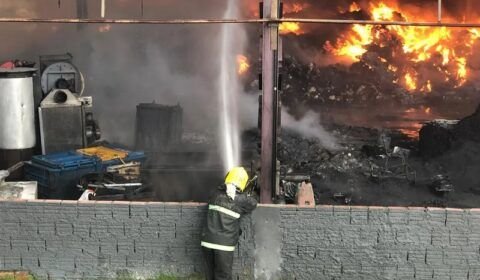 whatsapp-image-2020-01-29-at-09-04-25