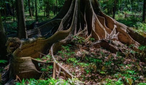 8b8fde80-c912-11ee-ad02-bf813000e6d9