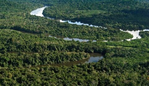 amazonia-1068x712-2