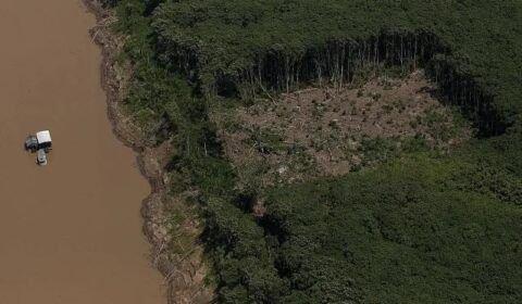 capa_desmatamento-zero-vai-demandar-pacto-politico-e-regularizacao-fundiaria-diz-secretario