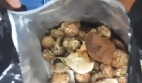 chocolate-deic-2-712x370