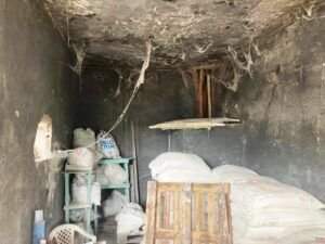 fevereiro-26_visa-trigo-2