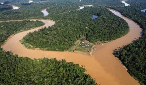 foto-reproducao-vale-do-javari