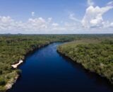 rio-negro-1