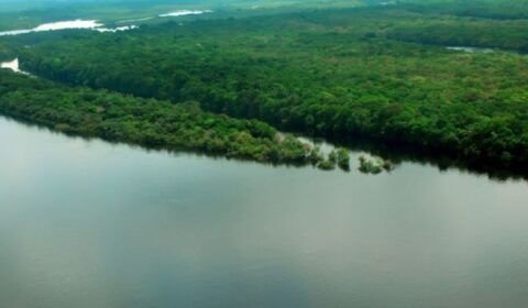 1_26101799197_8d8778cbac_o-6552545