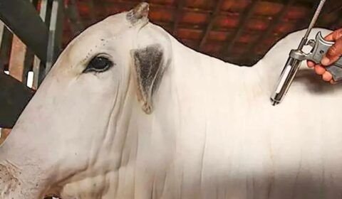 frame-240-67-976x600