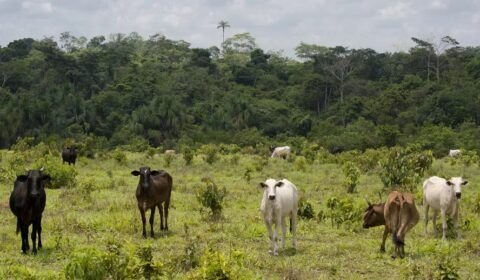 gettyimages-157628429