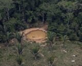 greenpeace-br-amazonia-desmatamento