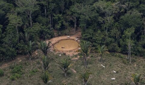 greenpeace-br-amazonia-desmatamento