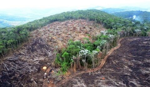 20f6d138bad77b3132bb1c858f4f4ff0