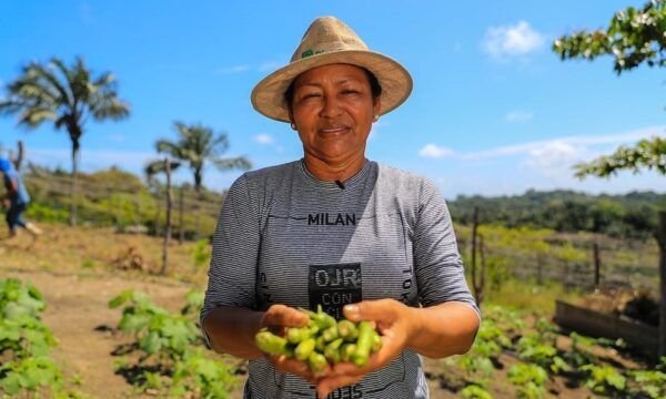 governo-do-amazonas-apoia-agricultores-que-tiveram-perdas-durante-a-ultima-estiagem