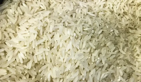 arroz_1009201525