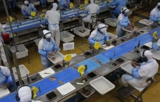 img20201117115036207-768x512